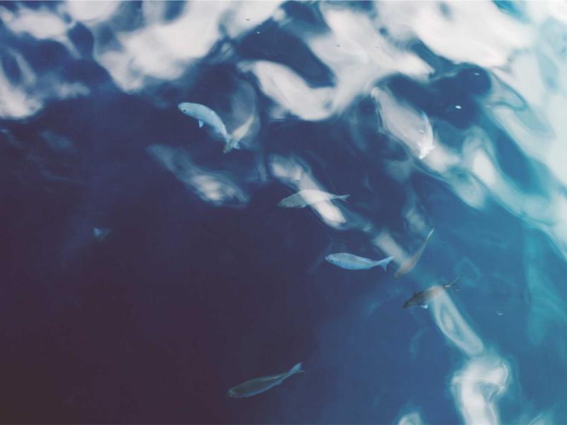 预览与交互功能