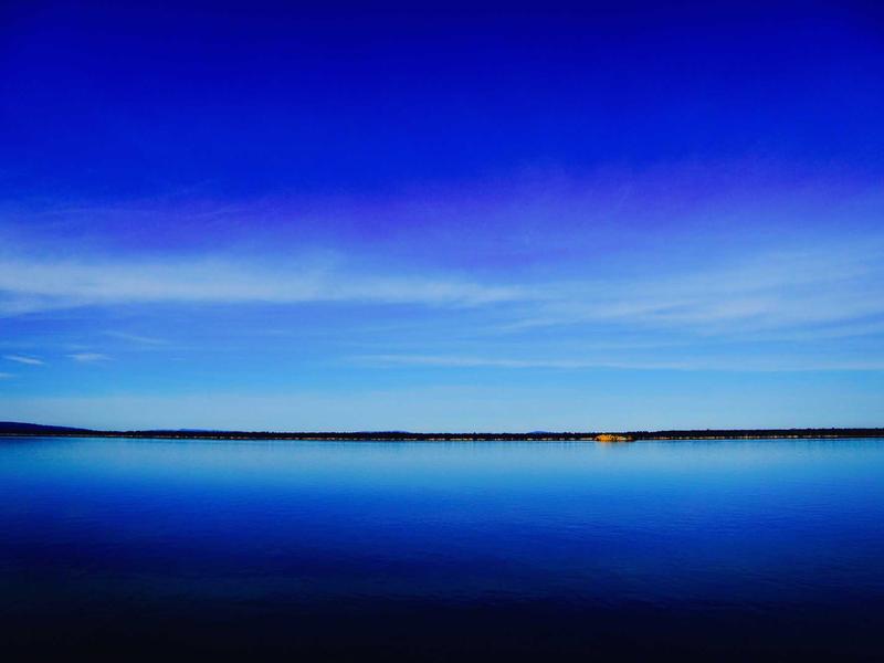 分享与协作功能